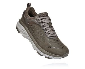 Hoka One One Challenger Low GORE-TEX Womens Trail Running Shoes Major Brown/Heather | AU-4192870